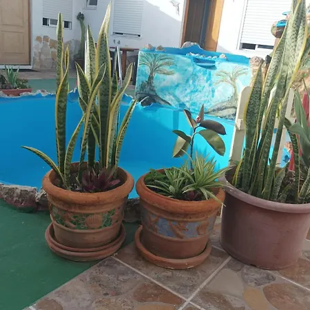 Home Costa Calma דירה
